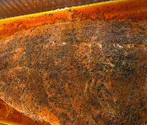 Herb Crusted Fillet of Salmon